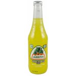 Jarritos Pineapple limo 370 ml – Zboží Dáma