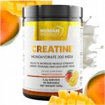 Human Protect Creatine Monohydrate 500g – Zboží Dáma