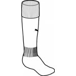 Puma Team Football Socks – Zboží Dáma