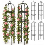 Kovová pergola Wideshop oblouk 200 cm – Hledejceny.cz
