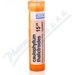CAULOPHYLLUM THALICTROIDES POR 15CH GRA 1X4G – Hledejceny.cz