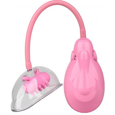 Dream Toys TO VIBRAČNÍ VAGINÁLNÍ PUMPA PLEASURE – Zboží Mobilmania