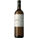 Jose Pariente Sauvignon Blanc 2023 13% 0,75 l (holá láhev) – Hledejceny.cz