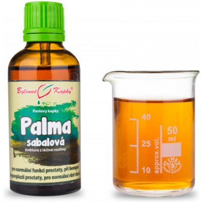 Bylinné kapky Palma sabalová Serenoa repens tinktura 50 ml – Hledejceny.cz