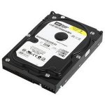 WD Caviar Blue 80GB, 3,5", SATAII, 7200rpm, 8MB, WD800AAJS – Hledejceny.cz