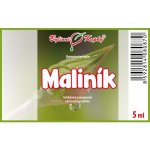 Bylinné kapky Maliník tinktura 5 ml – Hledejceny.cz
