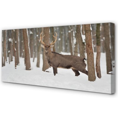 Obrazy na plátně Jelen zimní les 100x50 cm