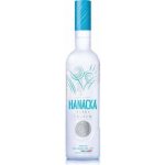 Hanácká Vodka Silver 40,13% 0,7 l (holá láhev) – Hledejceny.cz