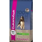 Eukanuba Mature & Senior All Breed Lamb 15 kg – Zboží Dáma