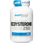 Everbuild Nutrition Ecdysterone 250 mg 90 kapslí – Hledejceny.cz