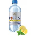 Coffizz Lemon MintFlavour 500 ml – Hledejceny.cz