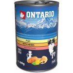 Ontario mini multi fish and salmon oil 400 g – Hledejceny.cz