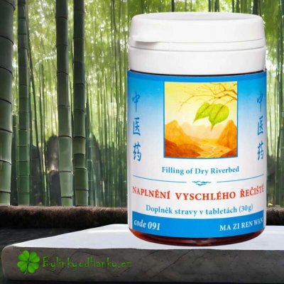 TCM Herbs Naplnění vyschlého řečiště 100 tablet – Hledejceny.cz
