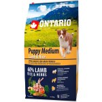 Ontario Puppy Medium Lamb & Rice 6,5 kg – Sleviste.cz