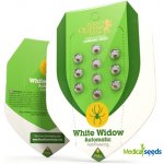 Royal Queen Seeds White Widow Automatic semena neobsahují THC 5 ks – Zbozi.Blesk.cz