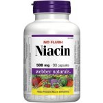 Webber Naturals Niacin 500 mg nealergický 90 kapslí – Hledejceny.cz