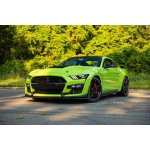 Půjčení Mustangu, 60 minut, 1 + 2 spolujezdci – Hledejceny.cz