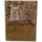 Concorde Fotoalbum na 64 foto, 10 x 15 cm – Zboží Živě