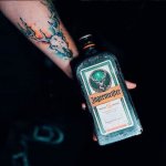 Jägermeister 35% 0,04 l (holá láhev) – Zboží Dáma