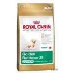 Royal Canin Zlatý retrívr Junior 2 x 12 kg – Hledejceny.cz