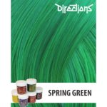 La Riché Directions 16 Spring Green 89 ml – Zboží Mobilmania