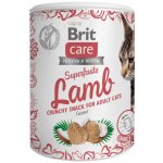 Brit Care Snack Superfruits Lamb Adult 100 g – Zboží Mobilmania