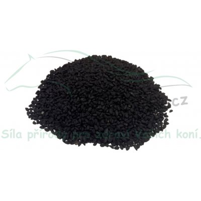 Koňské bylinky Černý kmín (černucha) 1 kg – Hledejceny.cz