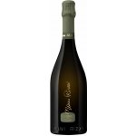 Nani Rizzi Prosecco Valdobbiadene Spumante DOCG Extra Dry 11,5% 0,75 l (holá láhev) – Sleviste.cz