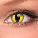 MaxVue Crazy cat Eye barevné roční 2 čočky – Hledejceny.cz