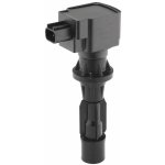 Zapalovací cívka BorgWarner (BERU) ZS618 – Hledejceny.cz