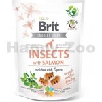 Brit Care Dog Crunchy Cracker Insects with Salmon enriched with Thyme 200 g – Zboží Dáma