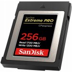 SanDisk SDC 256G SDCFE-256G-GN4NN – Zbozi.Blesk.cz