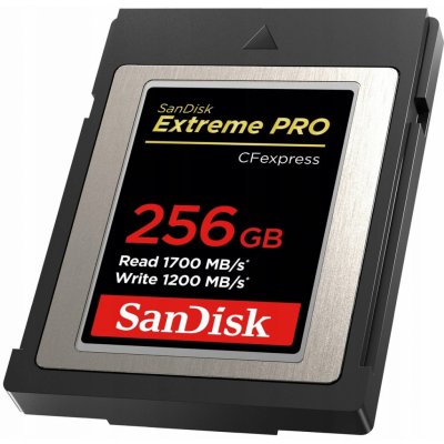 SanDisk SDC 256G SDCFE-256G-GN4NN – Zbozi.Blesk.cz