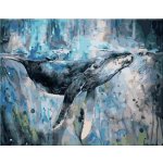 Malování podle čísel Velryba Keportak – Zboží Mobilmania