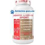Giom Chondro L-karnitin Sport 360 tbl – Zboží Dáma