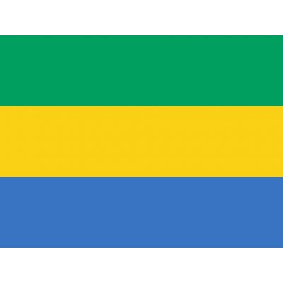Gabon vlajka - 150 x 225 cm - tunel, karabina – Hledejceny.cz