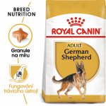 Royal Canin German Shepherd Adult 3 kg – Hledejceny.cz