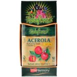 VitaHarmony Acerola 500 mg+Vitamin C 250 mg 90 tablet – Hledejceny.cz