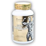 Kevin Levrone Gold Tribulus 90 tablet – Zboží Dáma