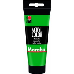 Akrylová barva Acryl Color 100 ml zelená 067