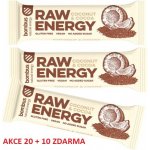 Bombus RAW energy 20x50 g – Zbozi.Blesk.cz