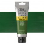 Winsor & Newton Akrylová barva 120 ml Sap Green – Zboží Mobilmania