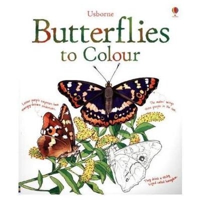 Butterflies Colouring Book