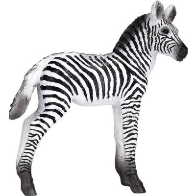 Mojo Zebra mládě