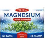 TEREZIA MAGNESIUM + vitamin B6 a meduňka Limitovaná edice 120 + 30 kapslí – Hledejceny.cz