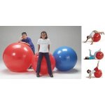 Gymnic Classic 75 cm – Zboží Dáma