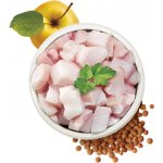 Carnilove True Fresh Dog Adult Small Breed Fish 4 kg – Sleviste.cz