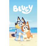 Jerry Fabrics Osuška Bluey Beach 70 x 140 cm – Hledejceny.cz