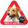 Autovýbava Grel nálepka na sklo pozor pes v autě jack russell