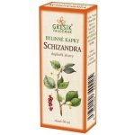 Grešík bylinné kapky Schizandra kapky 40% líh 50 ml – Hledejceny.cz